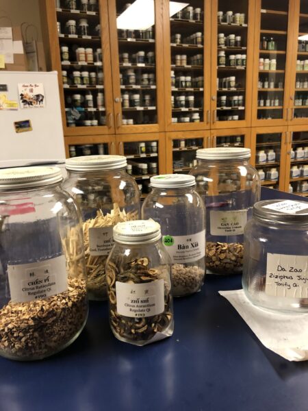 Glass jars of dried herbs in cabinets