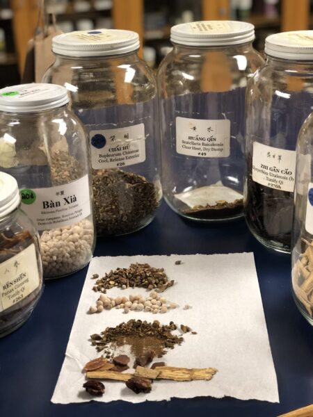 Assorted dried herbs in glass jars